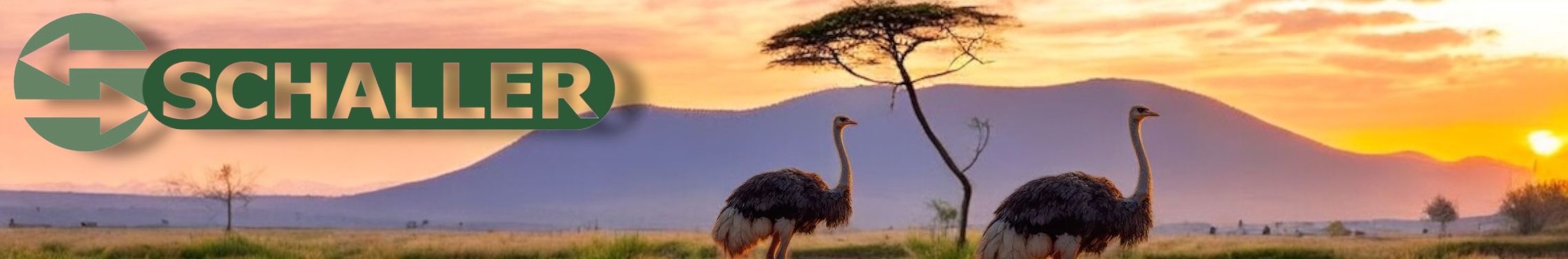 African-Style