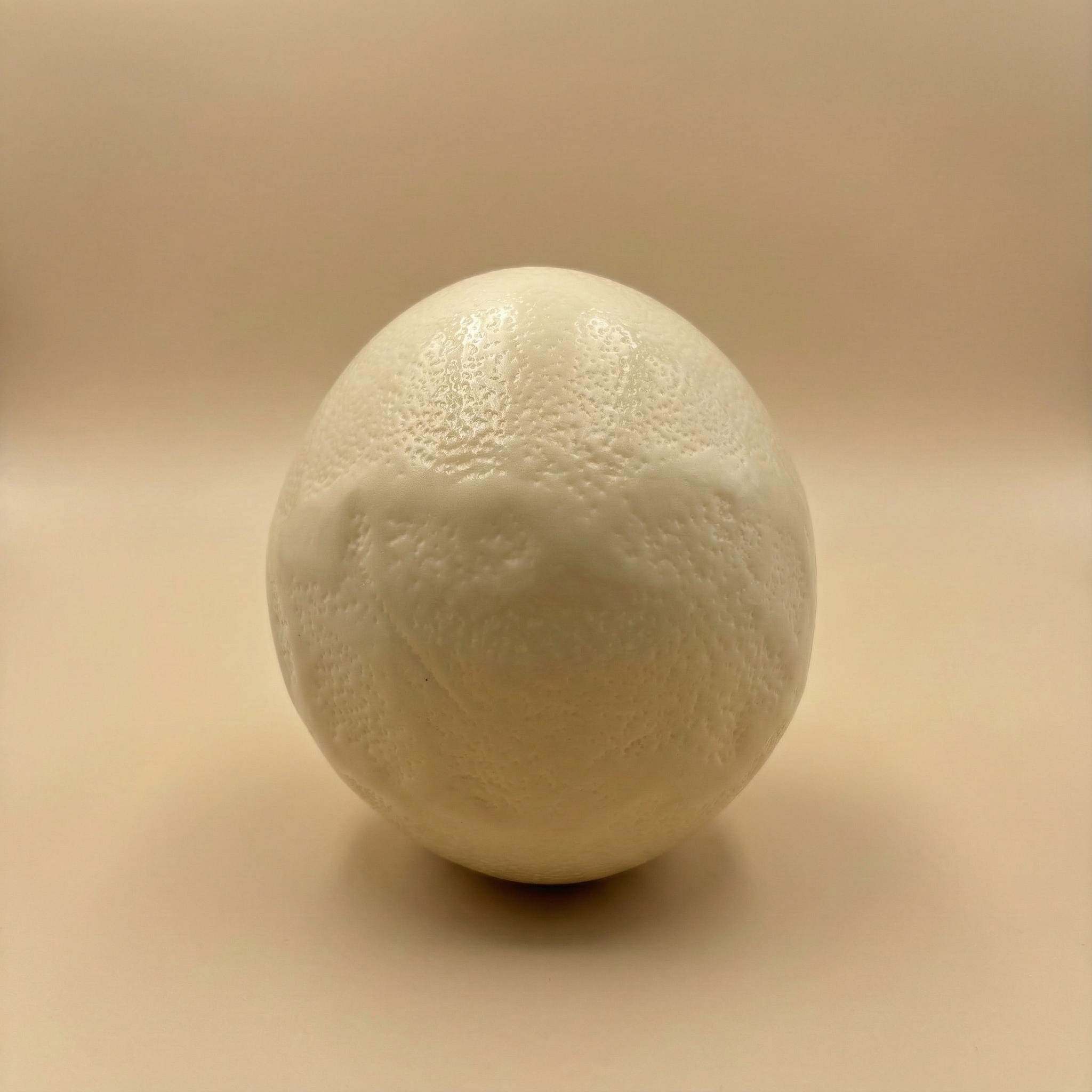 Artikel 4 – Beispielname